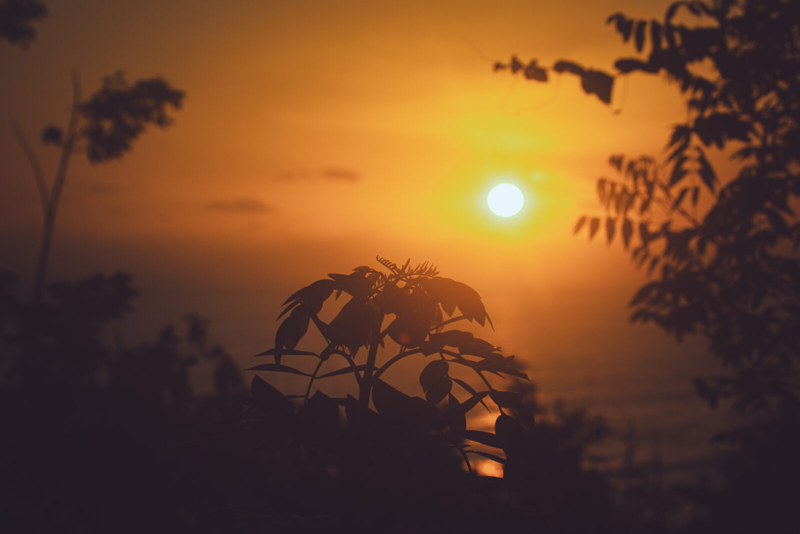 Sunset time Postcard